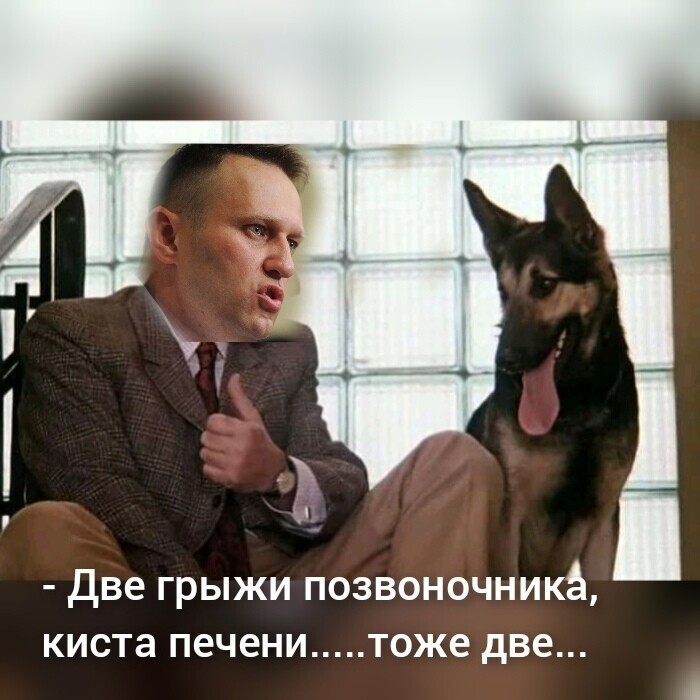 О политике и не только