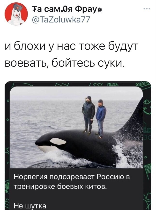 О политике и не только