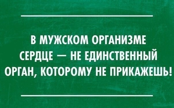 Очередной полит стёб из соц. сетей