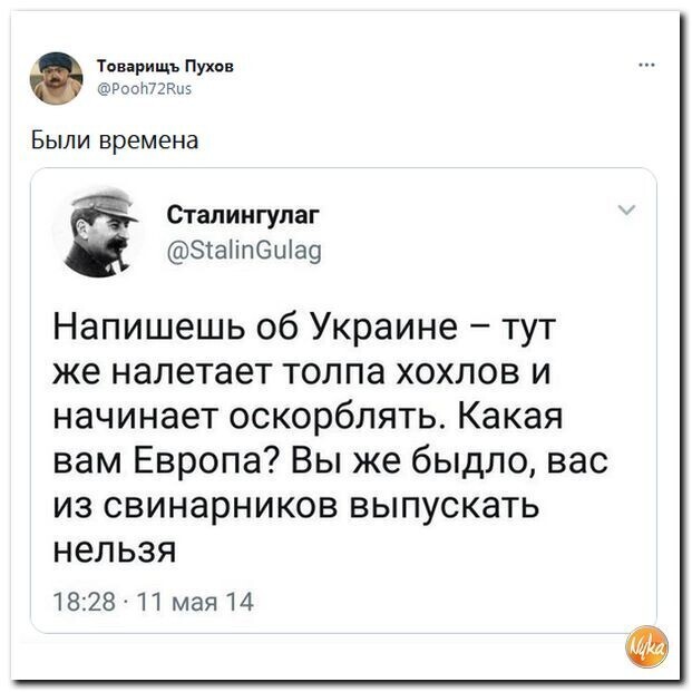 О политике и не только