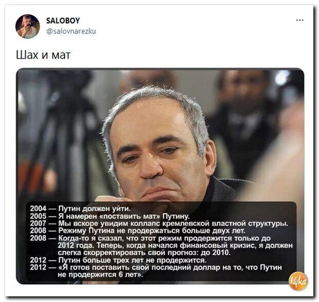 О политике и не только