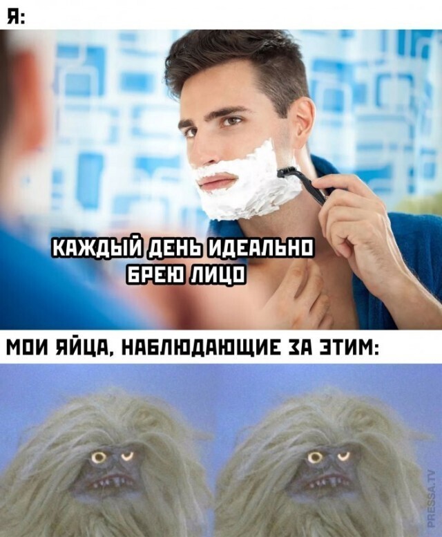 Картинки на поржать