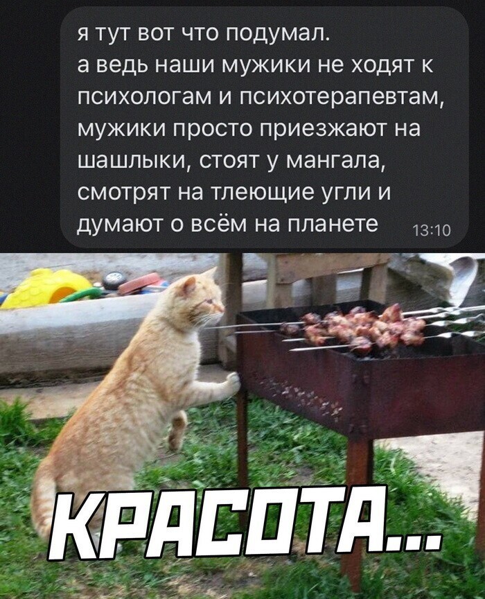 Скрины из соцсетей