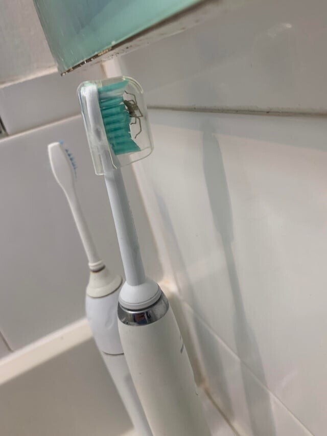 Видимо, я больше никогда не буду чистить зубы