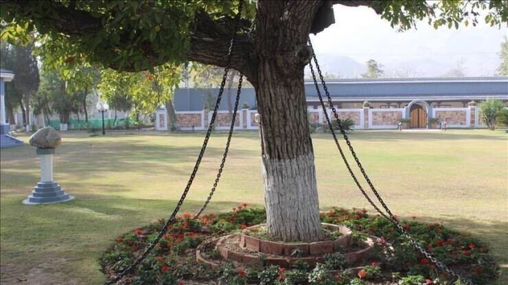 19. В Пакистане есть баньяновое дерево, которое заковано в цепи и официально арестовано с 1898 года