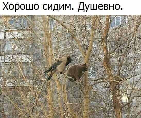 Весёлые истории о нас ( продолжение)