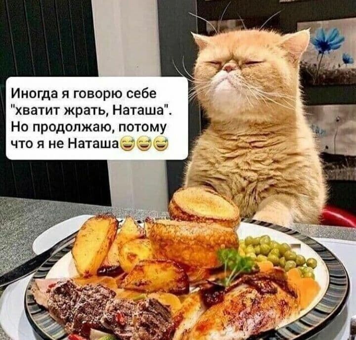 Весёлые истории о нас ( продолжение)