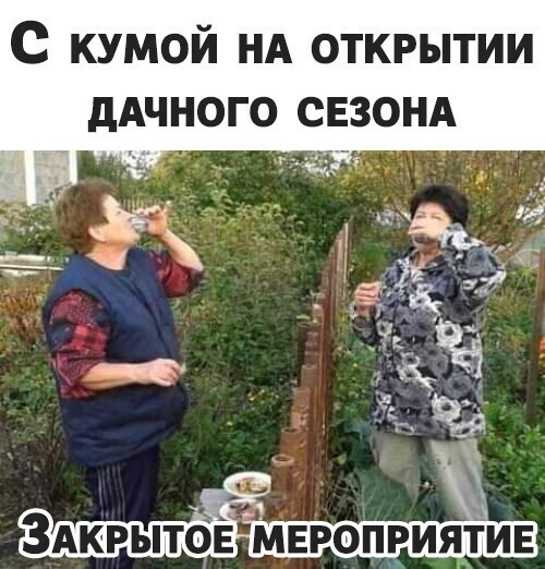 Веселые  картинки