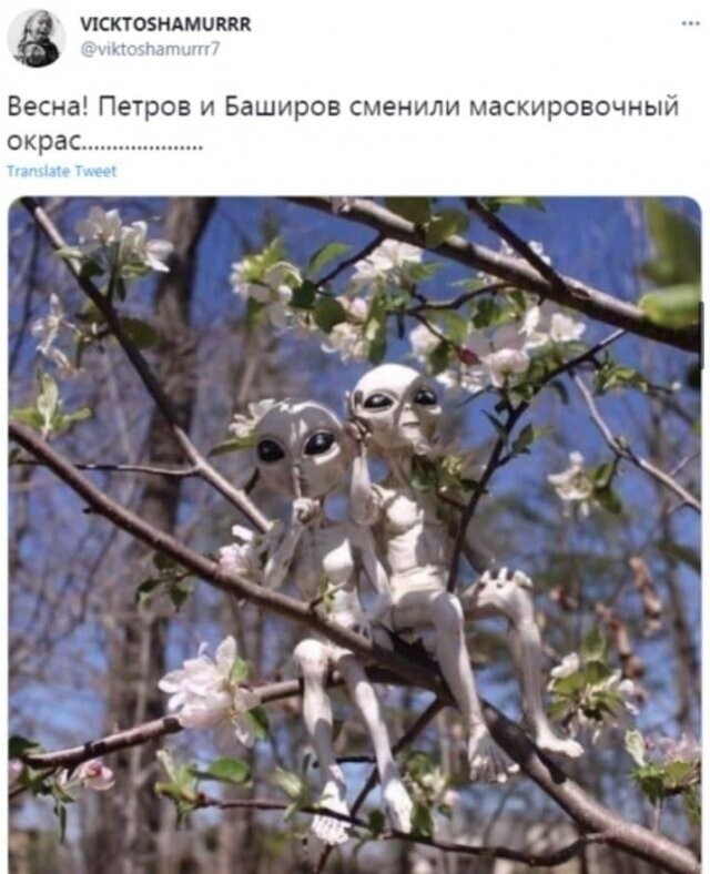 «Часовню тоже я?»