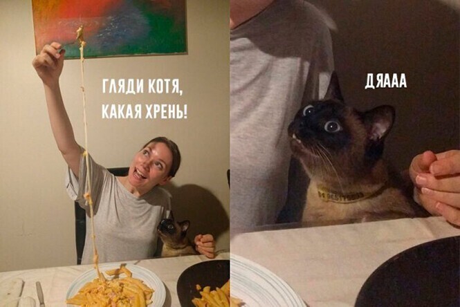 Полит стёб четверга