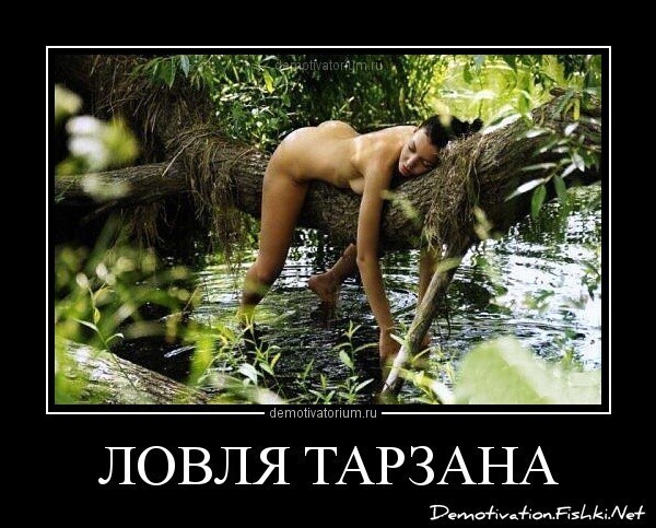 Полит стёб четверга