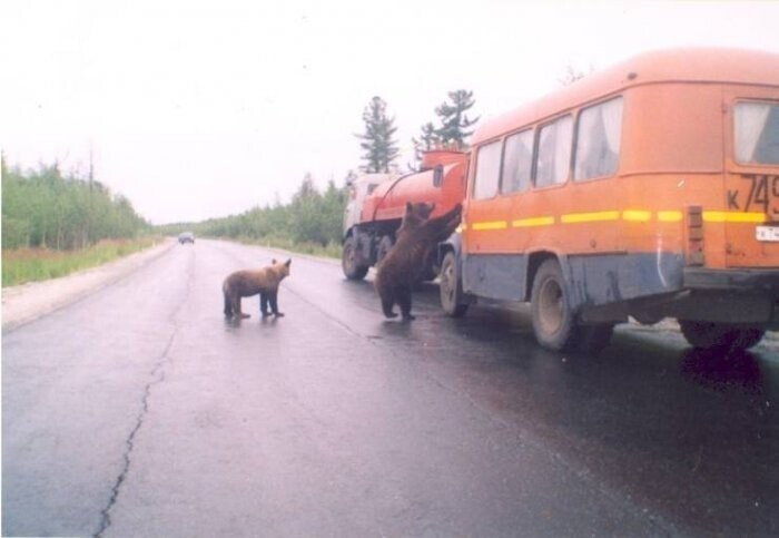 Намешалось