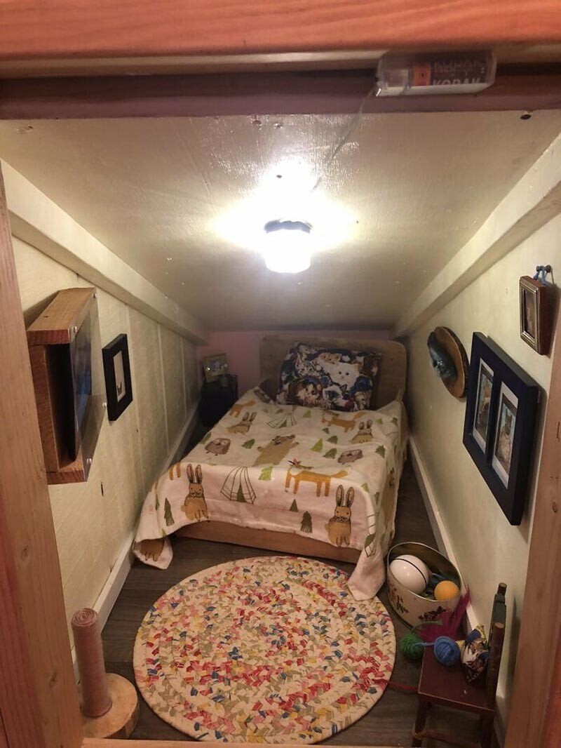 Он обставил комнату кроватью, которая по размерам чётко подходит животному, и другой крошечной мебелью, а также ковриком, когтеточкой и множеством игрушек