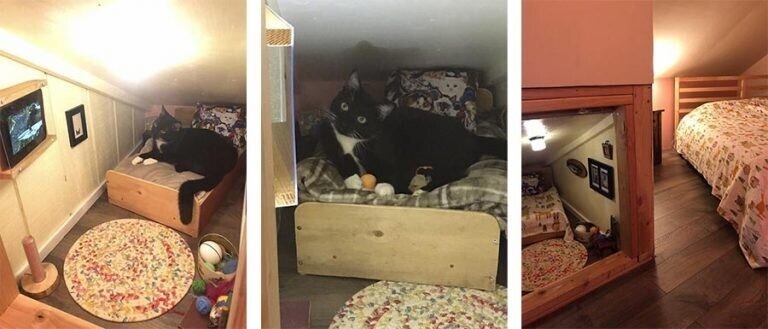 Милота дня: крохотная спальня для кошки