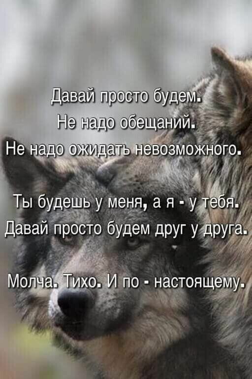 Жизненные истории о нас