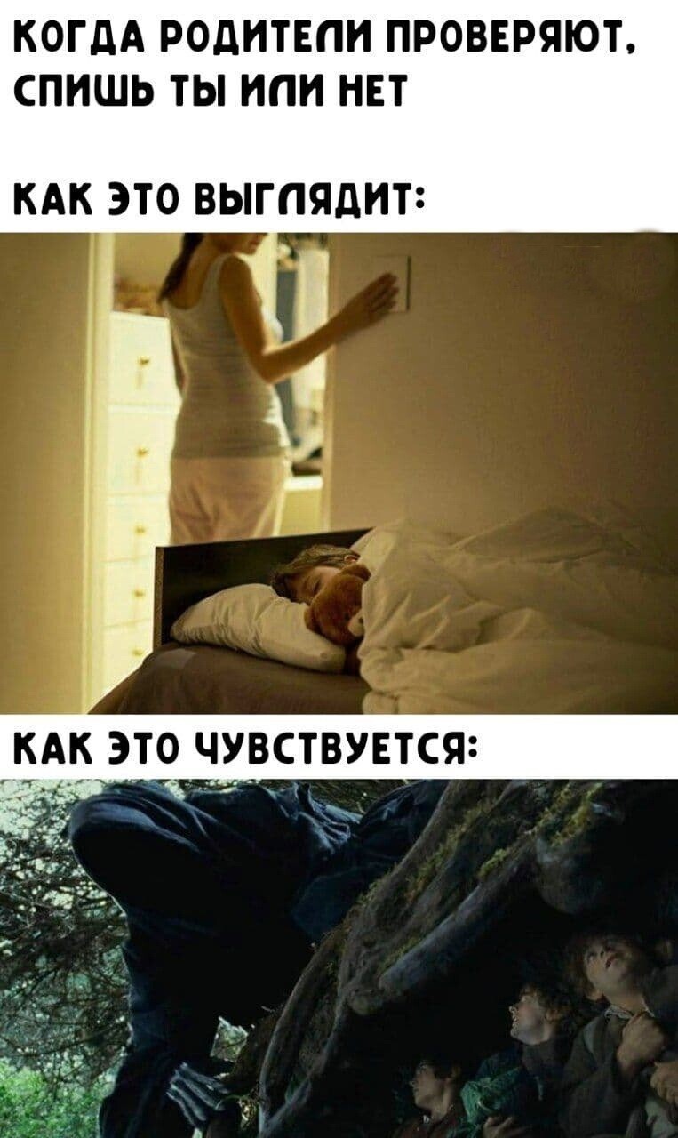 Жизненные истории о нас