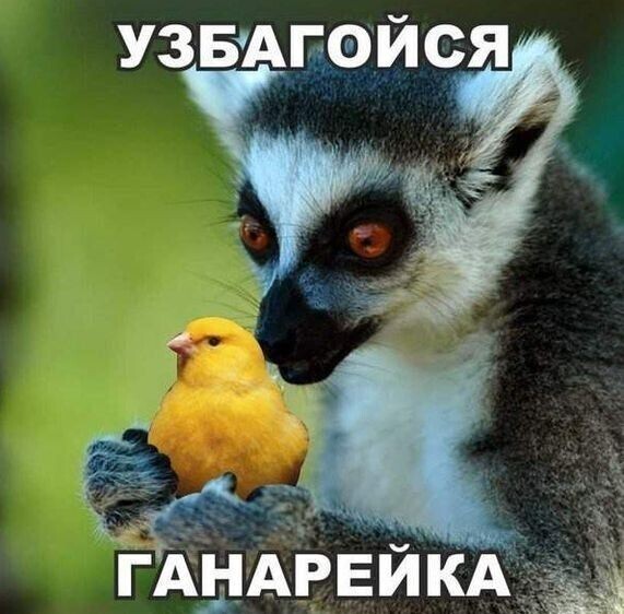 Жизненные истории о нас