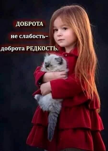 Жизненные истории о нас
