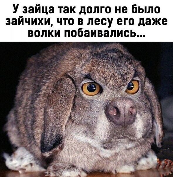 Жизненные истории о нас
