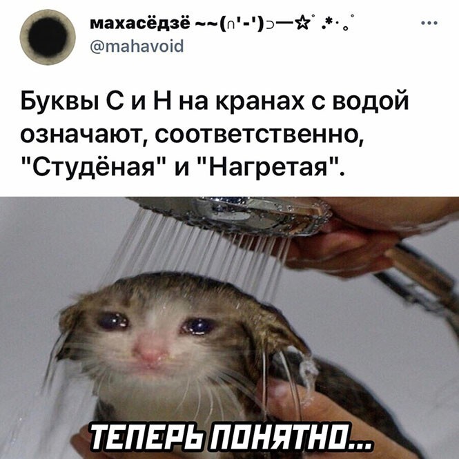 Смешные и познавательные картинки