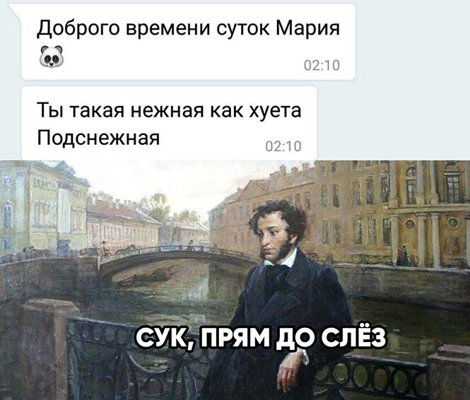 Смешные и познавательные картинки