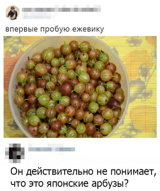 Смешные и познавательные картинки