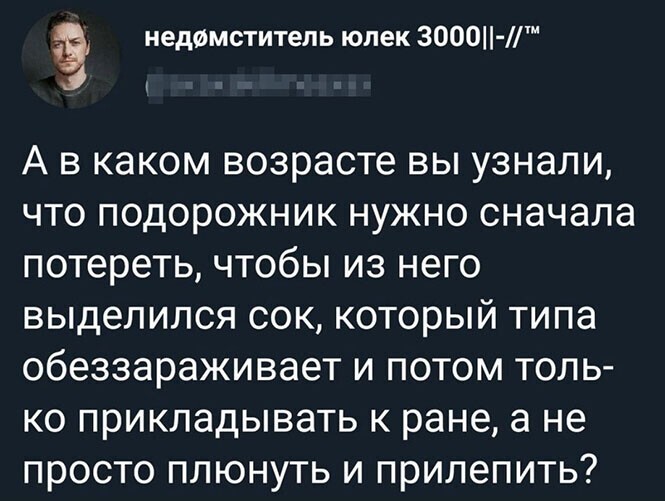 Смешные и познавательные картинки