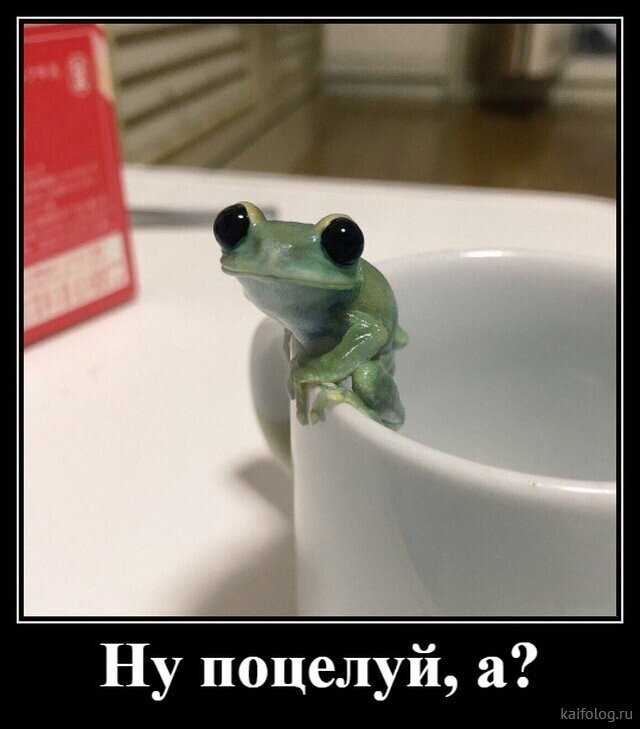 Истории на позитиве
