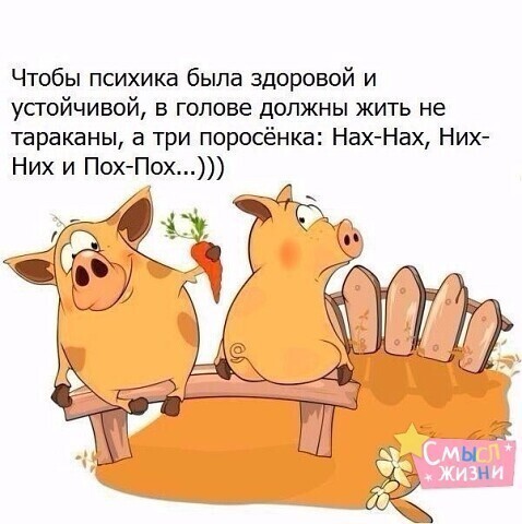Вечерний выпуск историй о нас