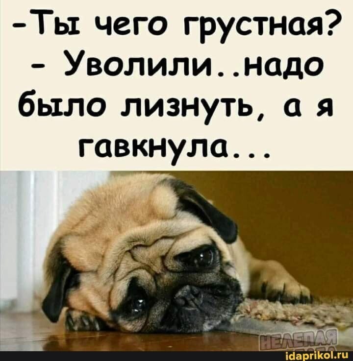 Вечерний выпуск историй о нас