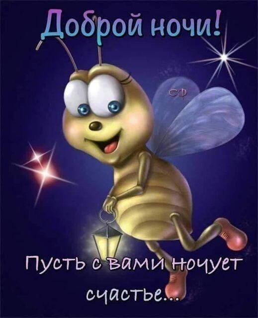 Вечерний выпуск историй о нас