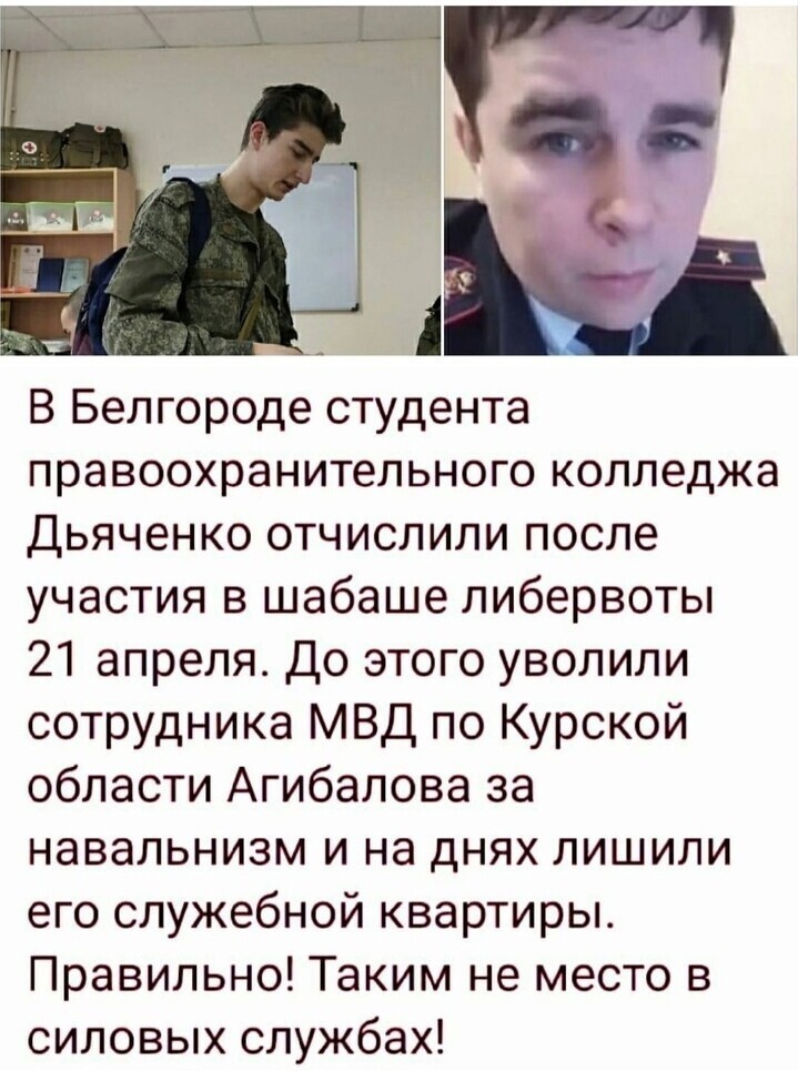 О политике и не только