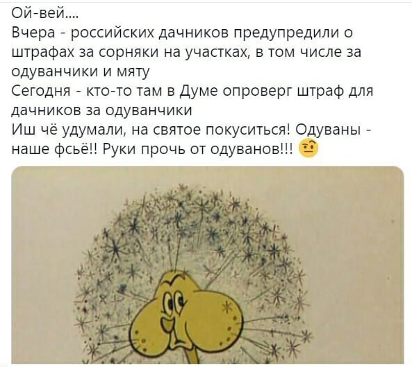 О политике и не только