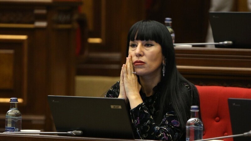 Депутат от Армении в ПАСЕ обвинила европейцев в антироссийской истерии по «делу Навального»