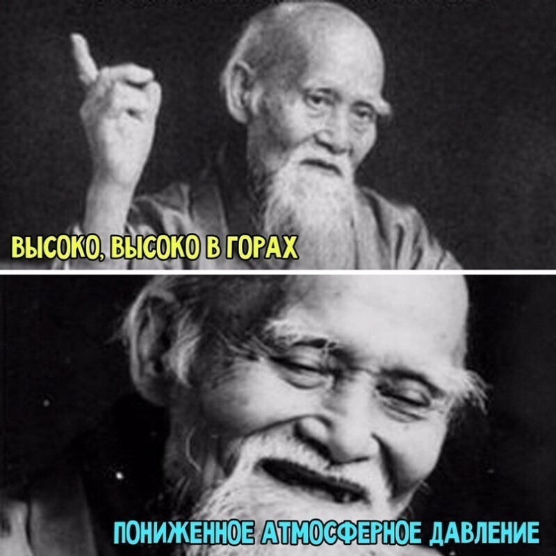 Мудрость Интернета. Картинки. ( и немножко Политстёба вечернего)