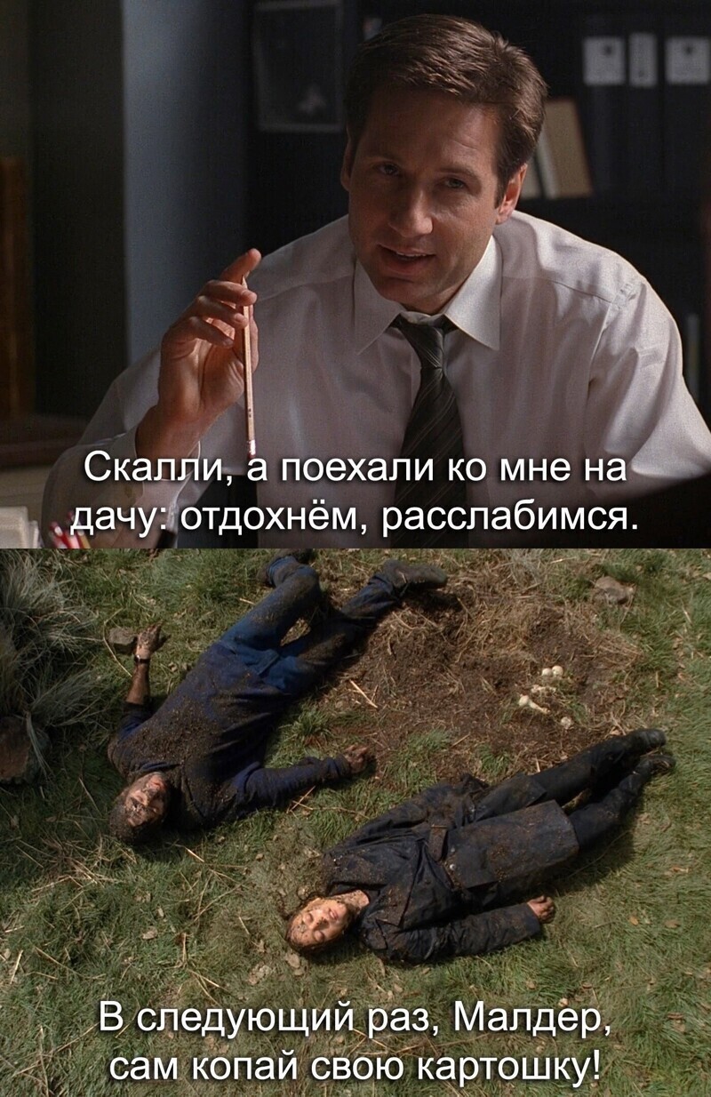 Мудрость Интернета. Картинки. ( и немножко Политстёба вечернего)