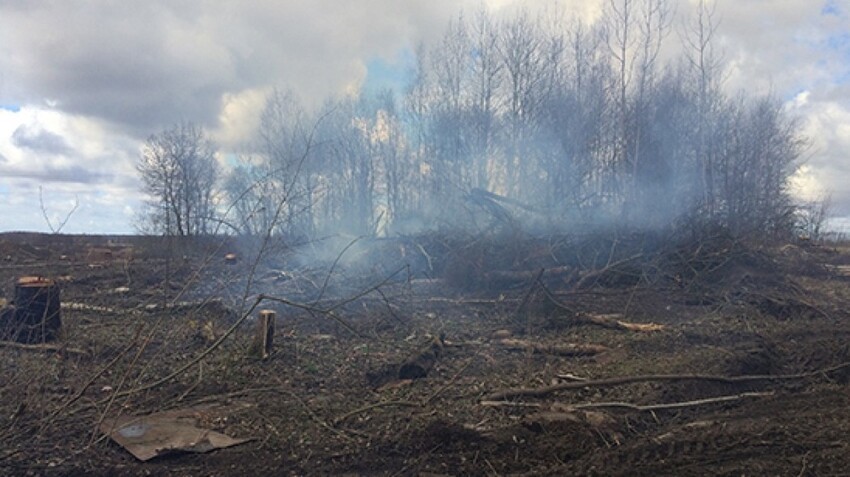 В Омской области пожар уничтожил целую деревню