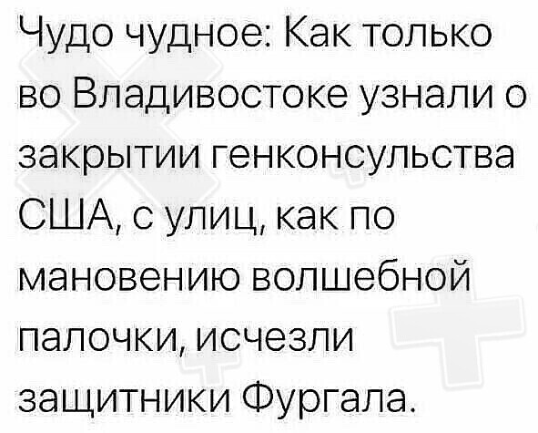 О политике и не только