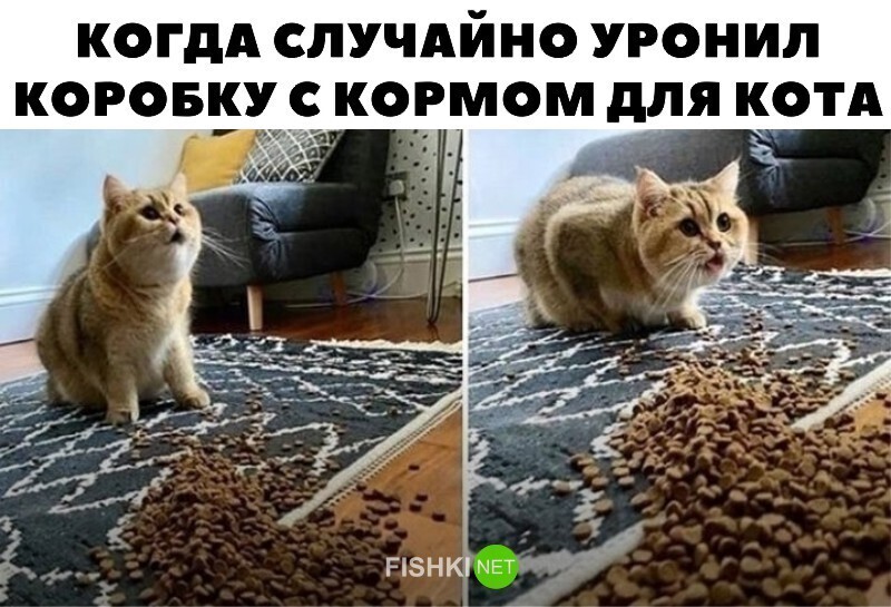 Смешные и познавательные картинки