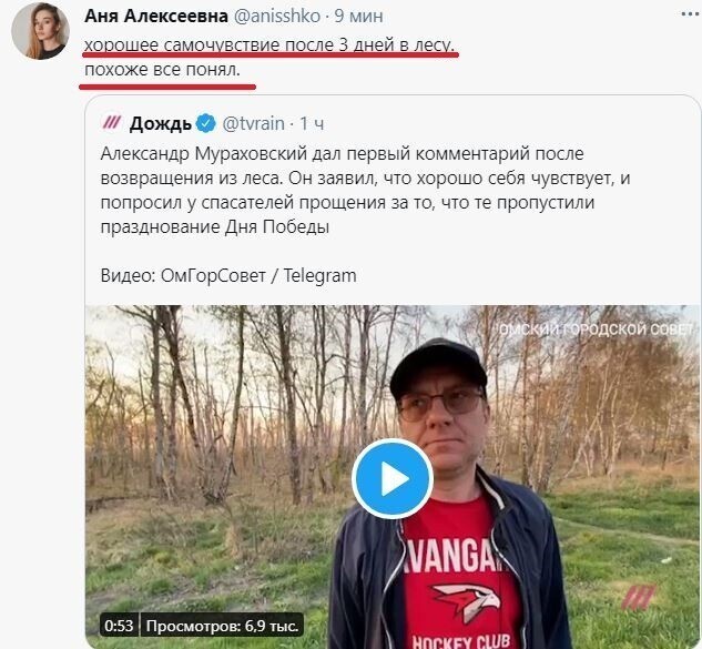 Он из лесу вышел. Сатира-политстёб