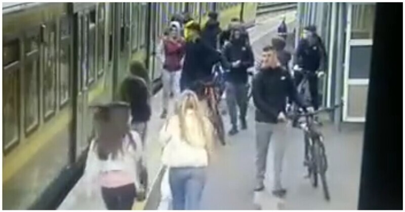 Шакалята: нападение дерзких ирландских подростков на девушек