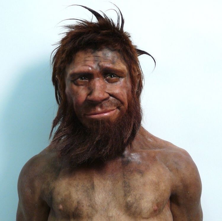 Реконструированный образ неандертальца (35000 г. до н.э.)