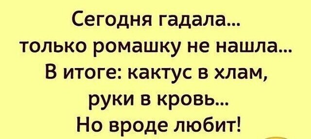 Очередной блок позитива от Ветра Вольного