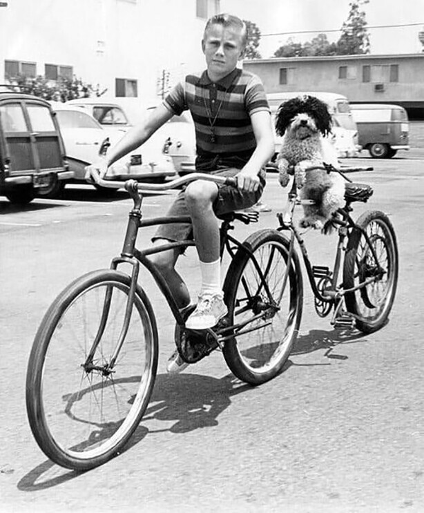 Человек собаке друг...  Каньон Топанга, Лос-Анджелес. 1965 год