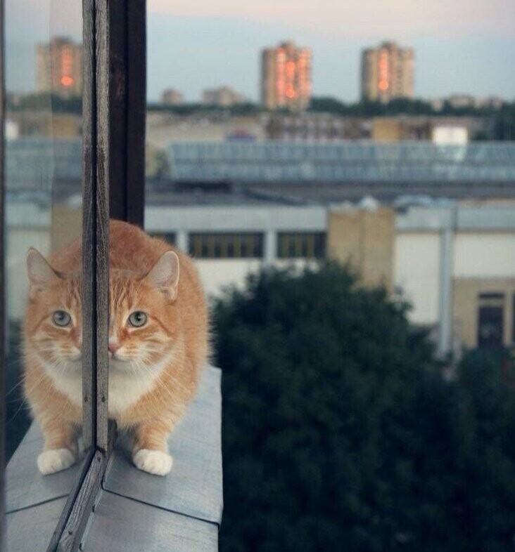 Всем позитивного четверга. Очередной политстёб с чашечкой утреннего кофе. 13.05.21