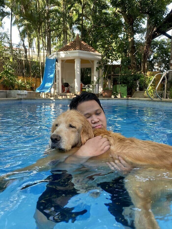 Пожилой пес уже не может плавать самостоятельно, хотя всегда любил. Хозяин каждый день устраивает ему заплывы, держа на руках