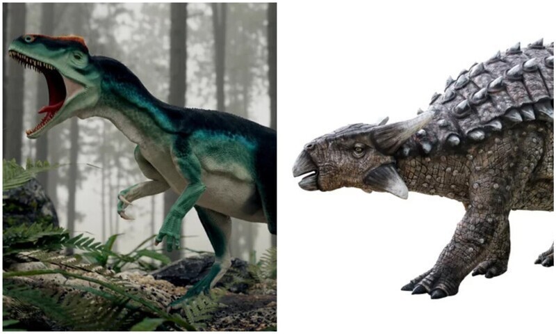 12 самых сильных и опасных динозавров