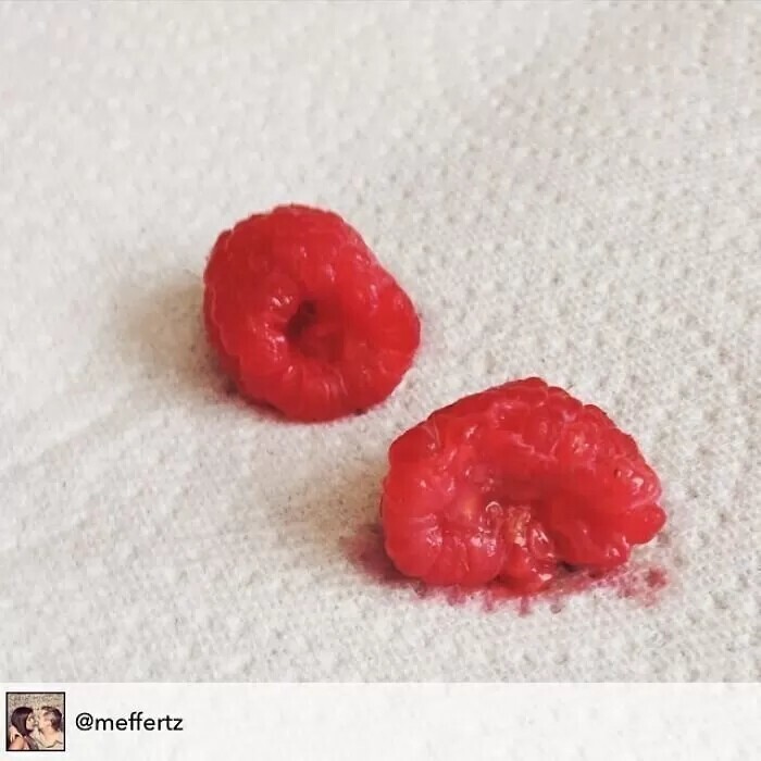 «Потому что эти ягоды умерли»