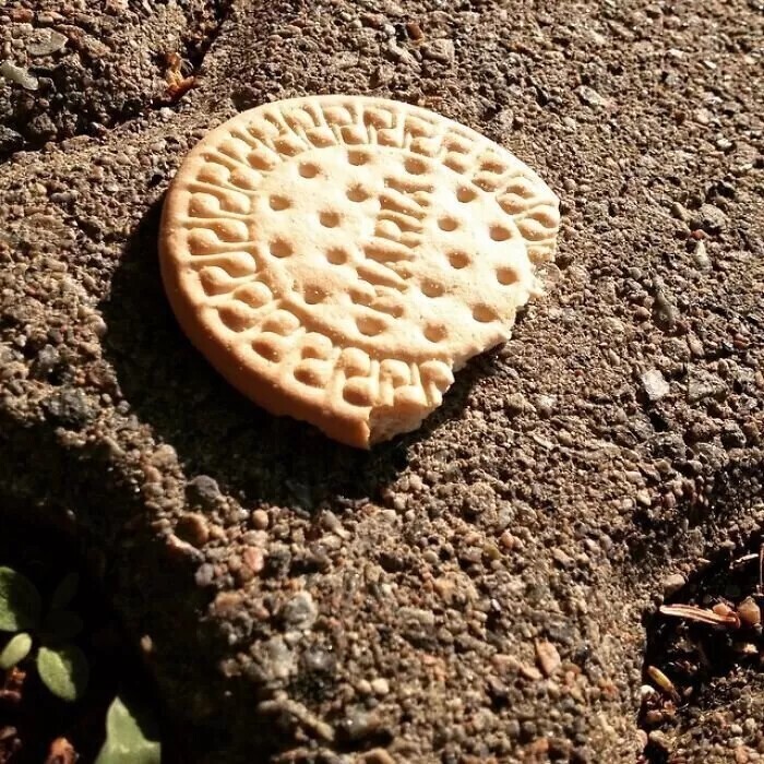 «Первая половина печенья ему понравилась, но потом он понял, что это не Oreo. Я и не говорила, что это Oreo. Но теперь он рыдает»