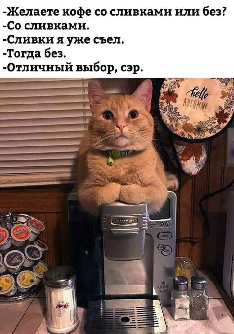 Очередной выпуск ПОЛИТСТЁБА и другого.  14.05.21